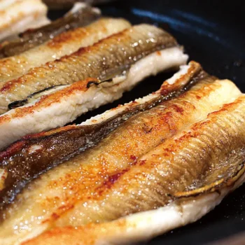 6시내고향 경남 통영 붕장어 다연호 택배 주문 및 구매 정보