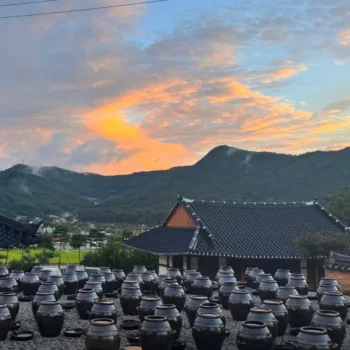 6시내고향 고창 장 만들기 체험 운월당 위치 및 예약 방법 총정리