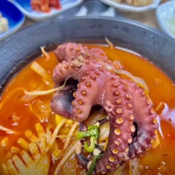 6시내고향 삼척 통문어짬뽕 통문어쟁반짜장 메뉴 가격 및 마법사중화요리 궁촌항 이색 중식당 위치