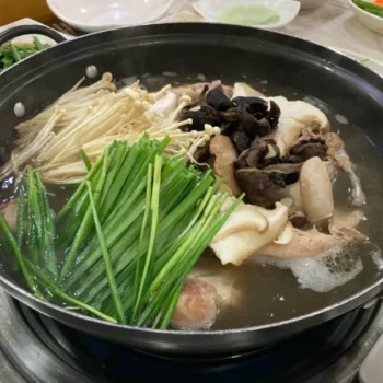 6시내고향 영월 어수리도시락 및 해천한방 백숙 맛집 박가네 위치 정보