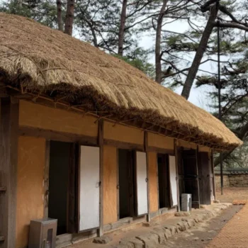 6시내고향 영월 청령포 단종 유배지 가는 법 입장료 및 관람 팁 정리