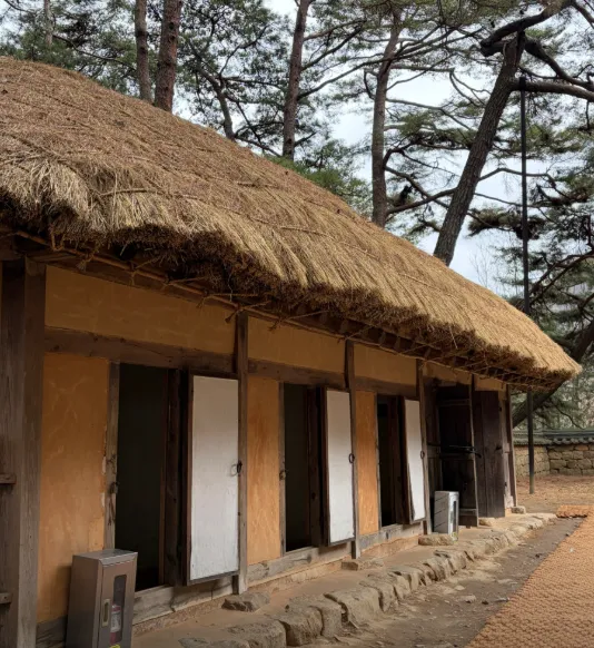 6시내고향 영월 청령포 단종 유배지 가는 법 입장료 및 관람 팁 정리