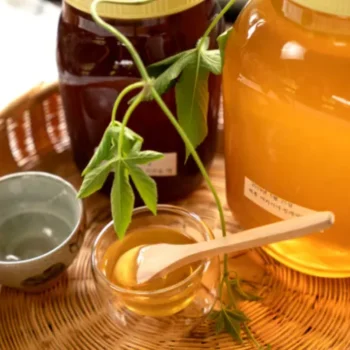 6시내고향 전북 순창 꿀 구매방법 고추장 체험 및 방문 정보