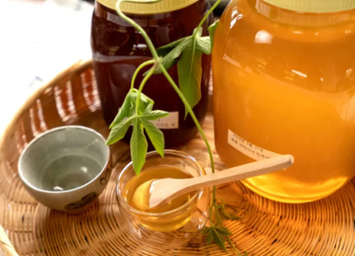 6시내고향 전북 순창 꿀 구매방법 고추장 체험 및 방문 정보