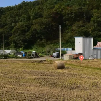 6시내고향 충남 보령 방풍나물 택배 주문 방법 및 옥계농원 상세 정보