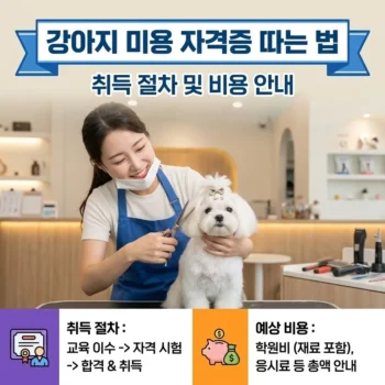 강아지 미용 자격증 따는 법 취득 절차 및 비용 안내