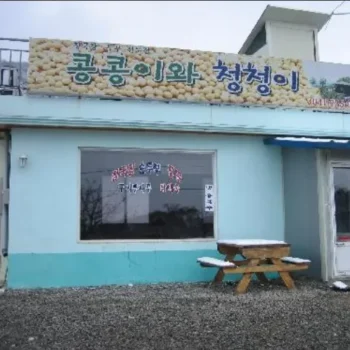 백반기행 논산 묵은지전골 손두부 청국장 맛집 콩콩이와청청이 위치 및 예약 총정리