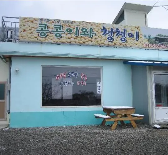백반기행 논산 묵은지전골 손두부 청국장 맛집 콩콩이와청청이 위치 및 예약 총정리