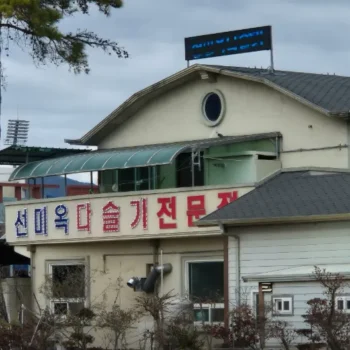 생방송투데이 구례 선미옥 다슬기 봄의 활력 3GO 여행 위치 정보