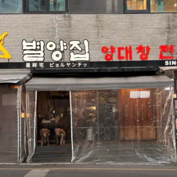 생생정보 특양구이 대창구이 별양집 강남 양대창 연 매출 25억 대박 맛집 위치