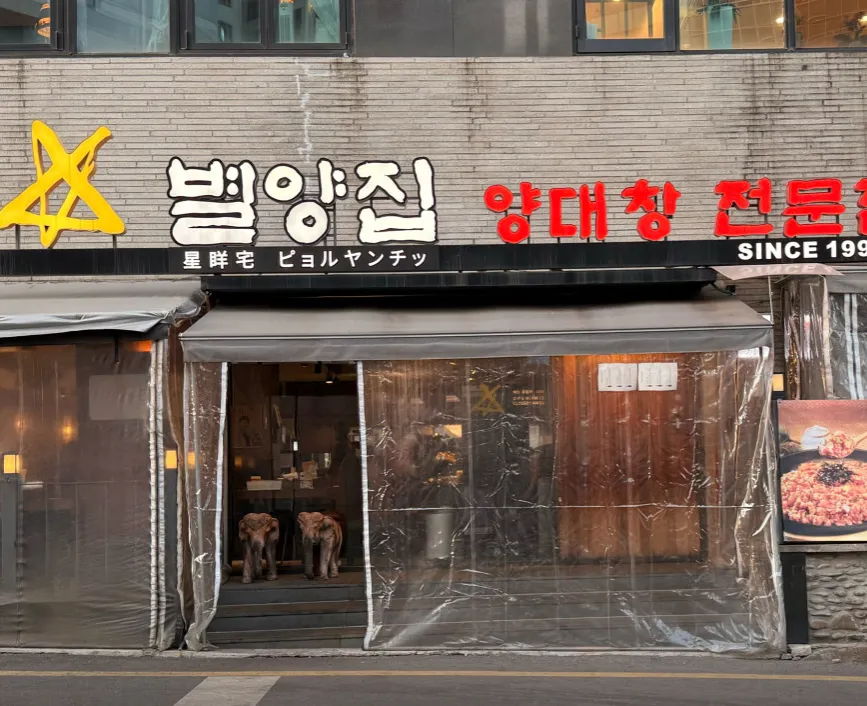 생생정보 특양구이 대창구이 별양집 강남 양대창 연 매출 25억 대박 맛집 위치