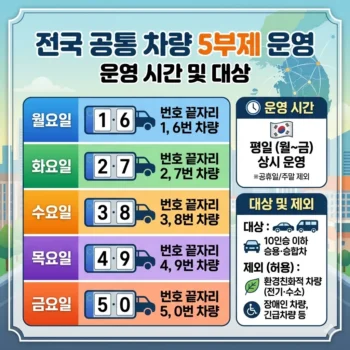 차량 5부제 전국 공통 운영 시간 및 대상