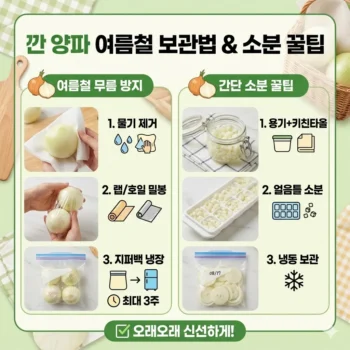 깐 양파 보관법 여름철 무름 방지 및 소분 꿀팁 정리