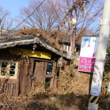 동네한바퀴 부산 산성파전 맛집 정보