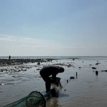 동네한바퀴 안산 대부도 독살 체험, 흘곶어촌체험마을 위치 정보 독살어업