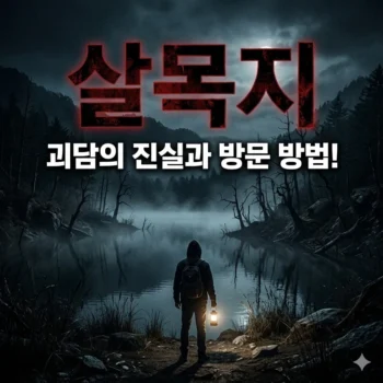 살목지 저수지 방문 방법과 괴담의 진실