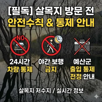 살목지 촬영지 실시간 정보, 24시간 차량 통제 및 야간 보행 금지 살목지 저수지 방문 전 필독 안전수칙 및 예산군 출입 통제 안내