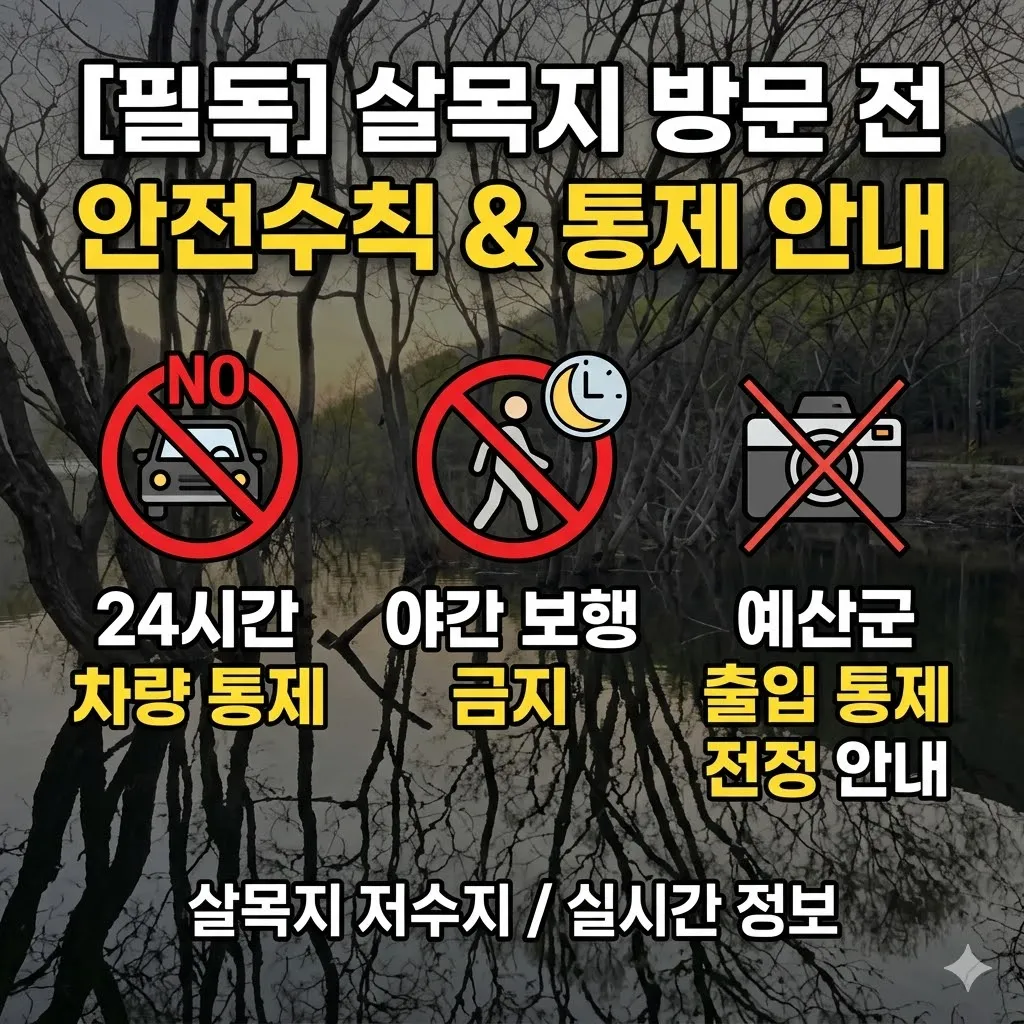 살목지 촬영지 실시간 정보, 24시간 차량 통제 및 야간 보행 금지 살목지 저수지 방문 전 필독 안전수칙 및 예산군 출입 통제 안내