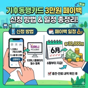 서울시 기후동행카드 지원금 신청 방법과 페이백 일정 안내