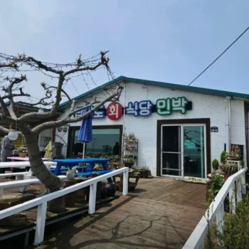 한국인의밥상 보령 섭조림 간자미조림 맛집삽시도 바다 회 식당 위치정보(다 조려버려, 진한 맛만 남는다)