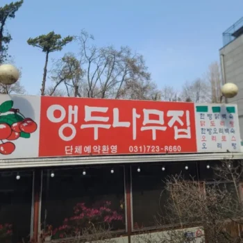 백반기행 성남 토종닭볶음탕 묵무침 산나물 맛집 앵두나무집 식당 위치