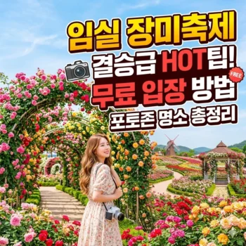 임실 장미축제 오늘 결승 시간만큼 핫한 무료 입장 방법과 포토존 명소 총정리