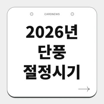 2026년 단풍 절정시기