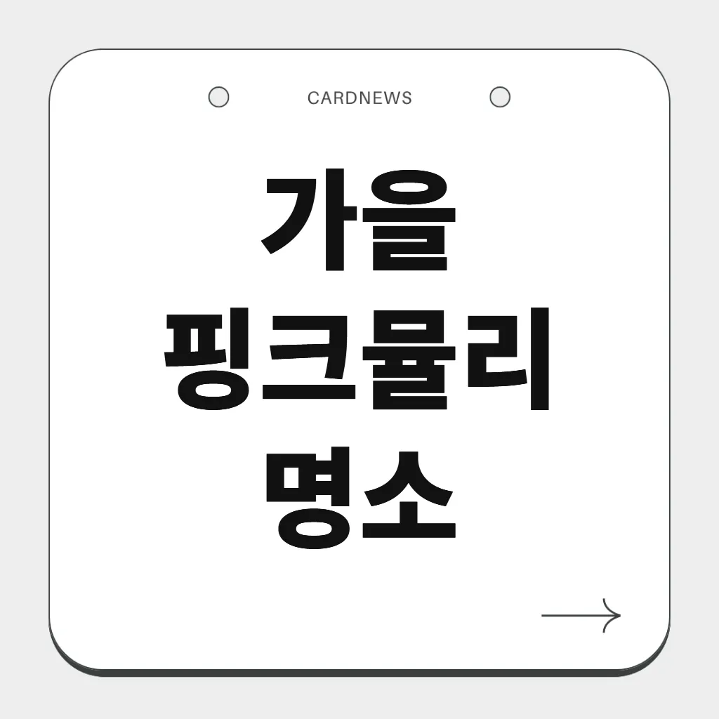 가을 핑크뮬리 명소
