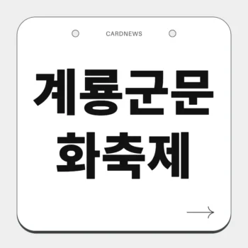계룡군문화축제