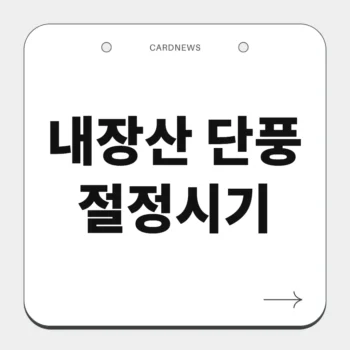 내장산 단풍 절정시기