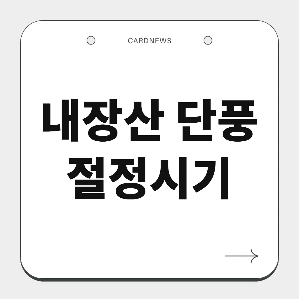 내장산 단풍 절정시기