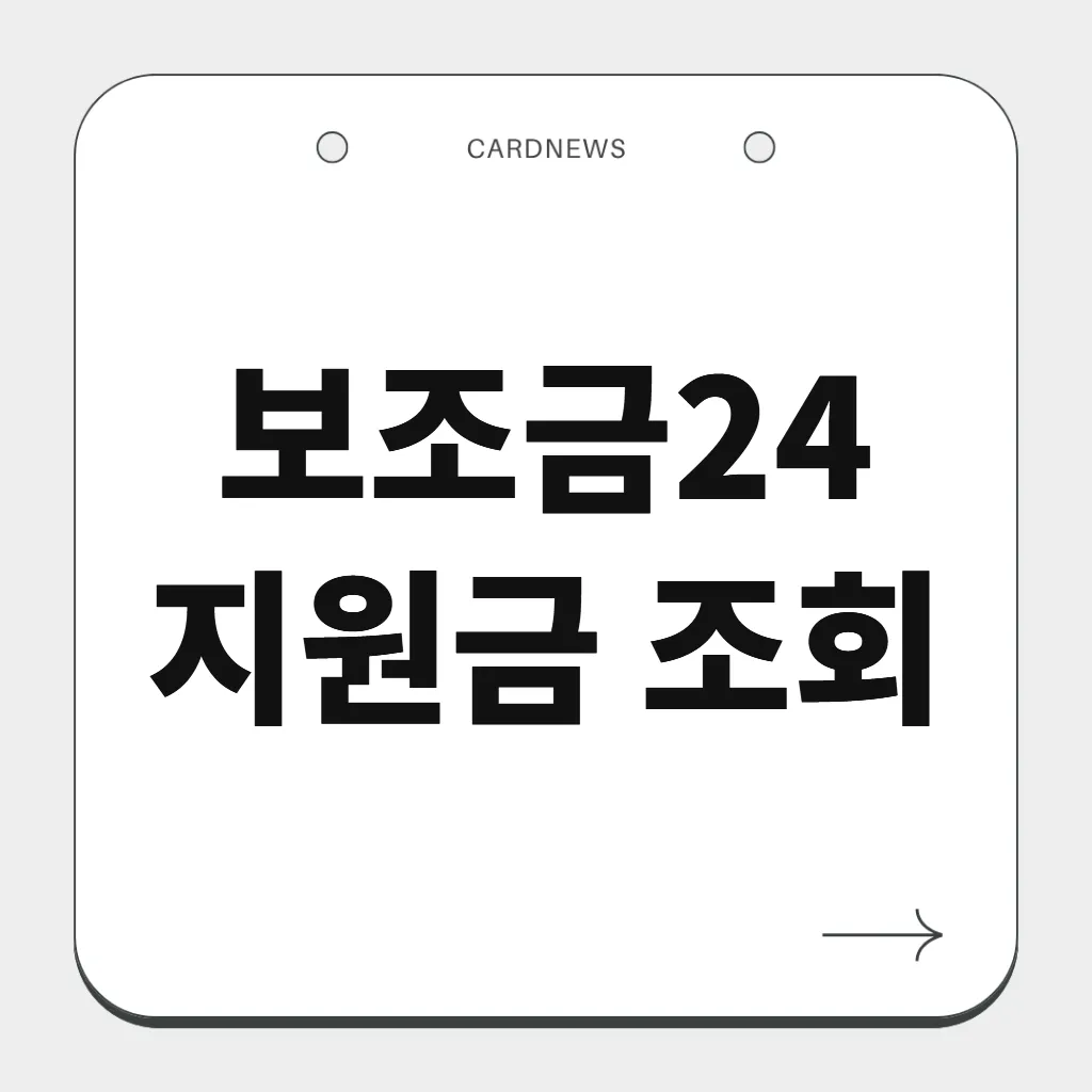 보조금24 지원금 조회