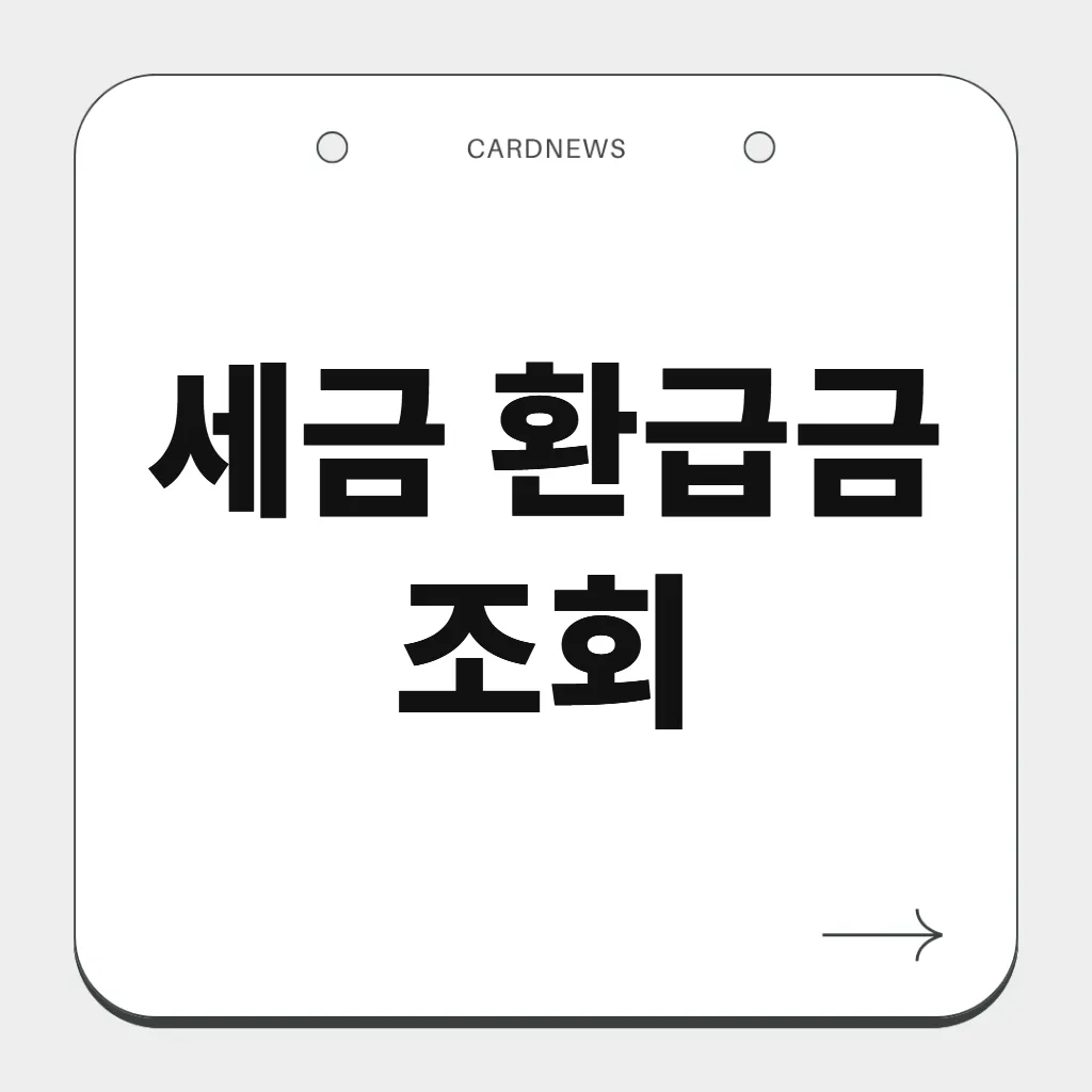 세금 환급금 조회
