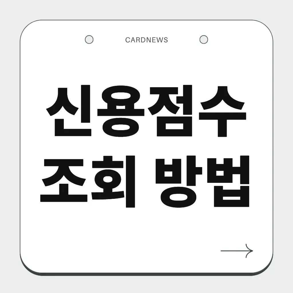 신용점수 조회