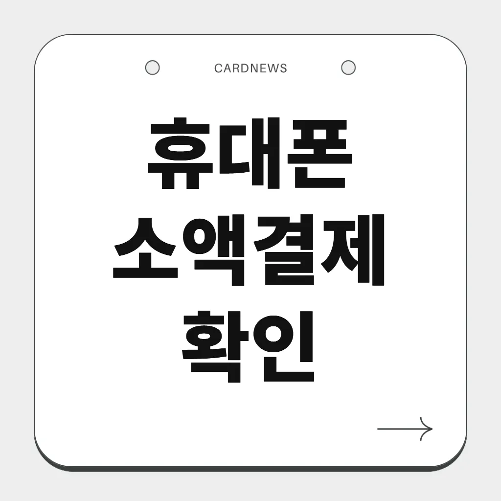 휴대폰 소액결제 확인