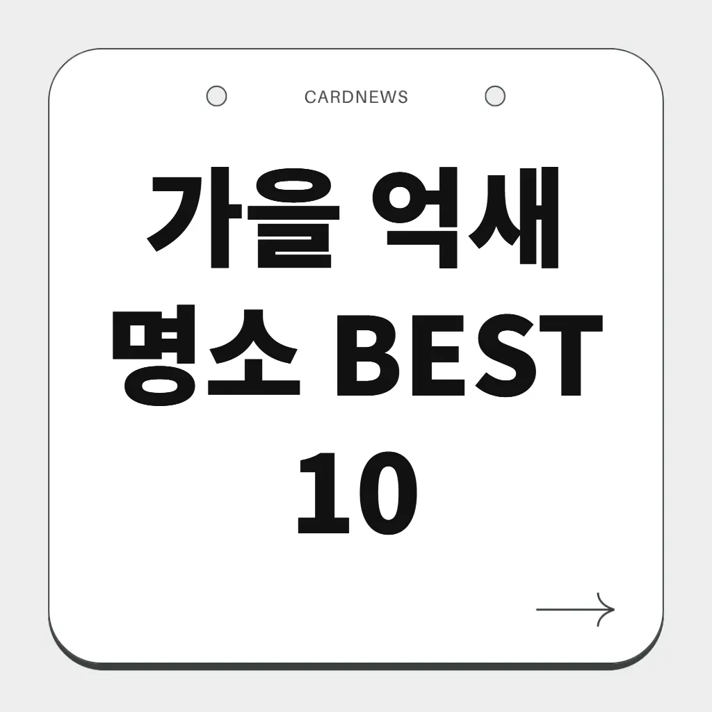 가을 억새 명소 BEST 10