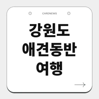 강원도 애견동반 여행