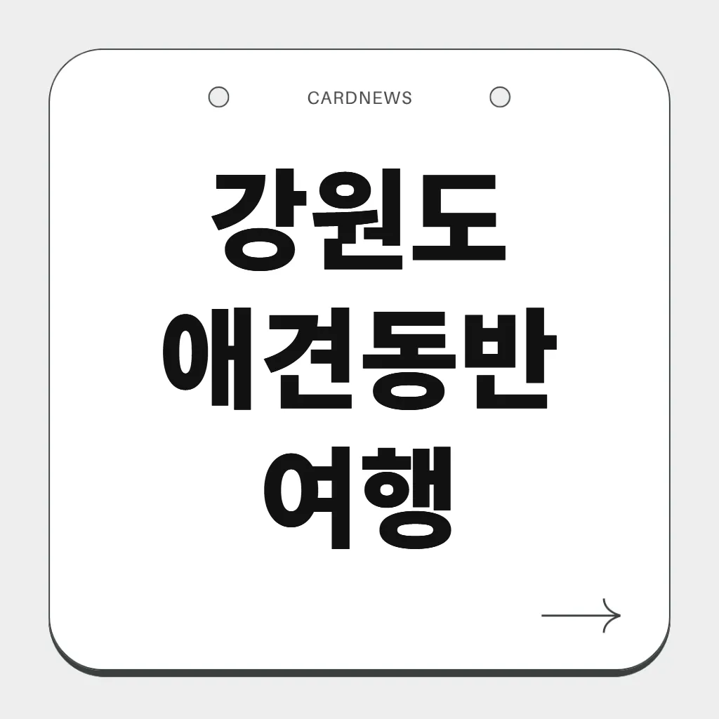강원도 애견동반 여행