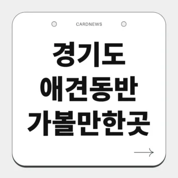 경기도 애견동반 가볼만한곳