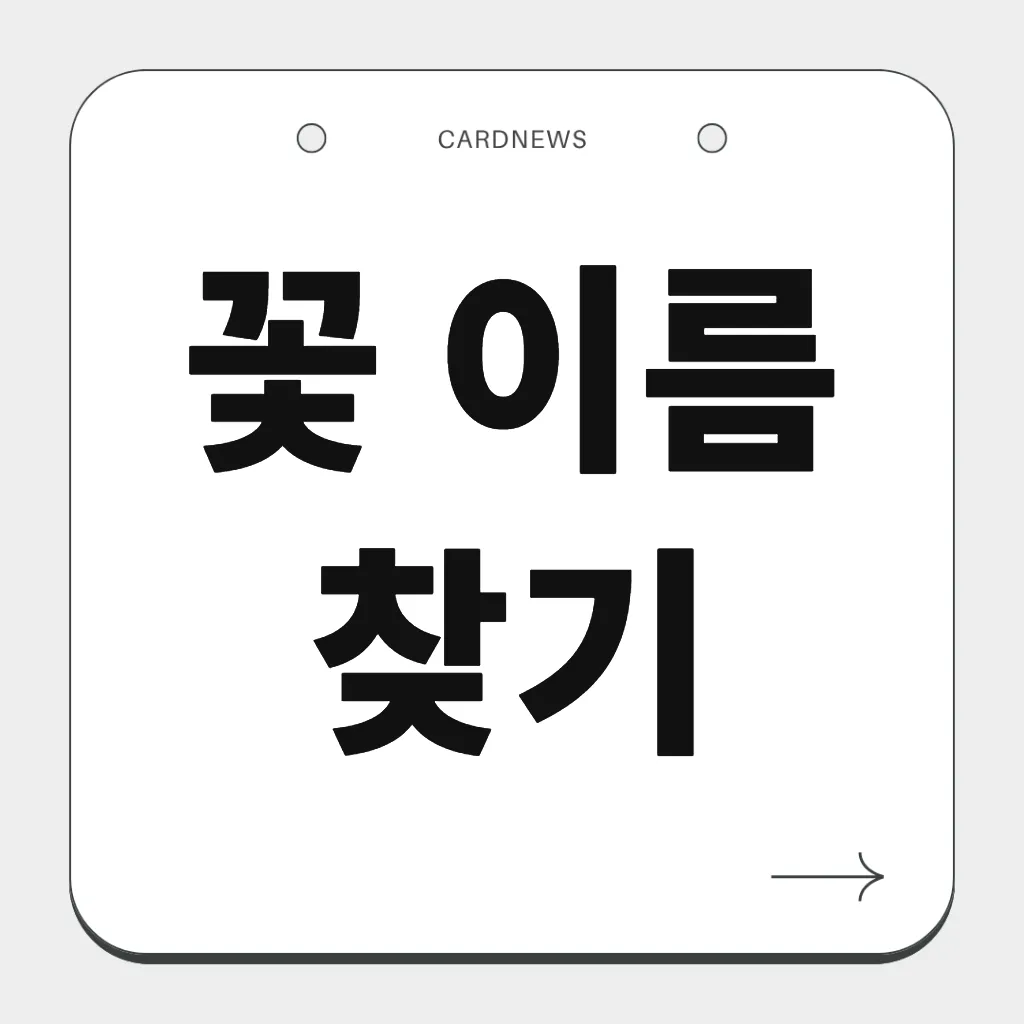 꽃 이름 찾기