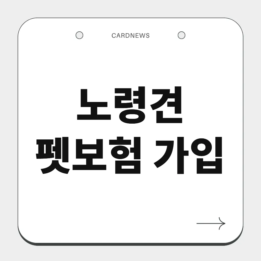 노령견 펫보험 가입