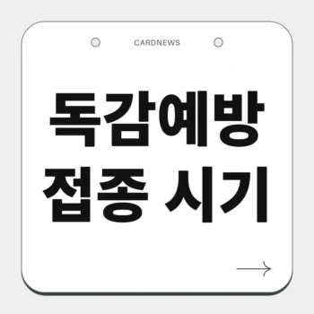 독감예방접종 시기