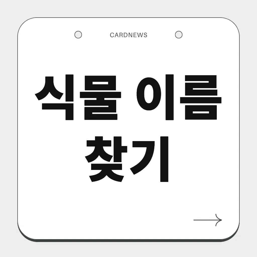 식물 이름 찾기