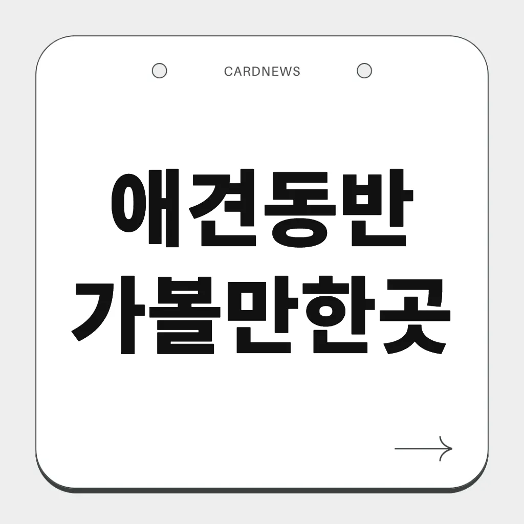 애견동반 가볼만한곳