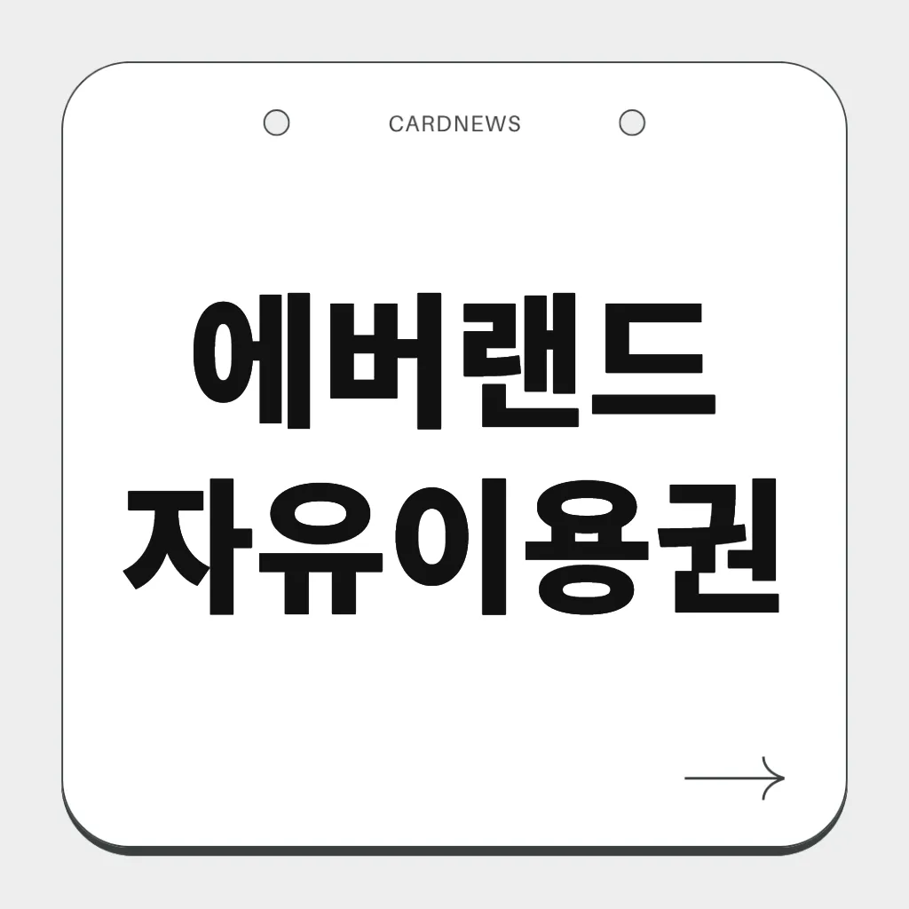 에버랜드 자유이용권