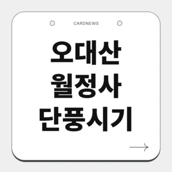 오대산 월정사 단풍시기