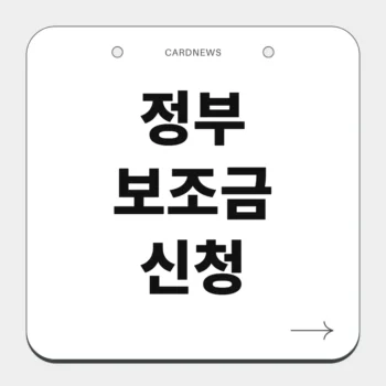 정부 보조금 신청