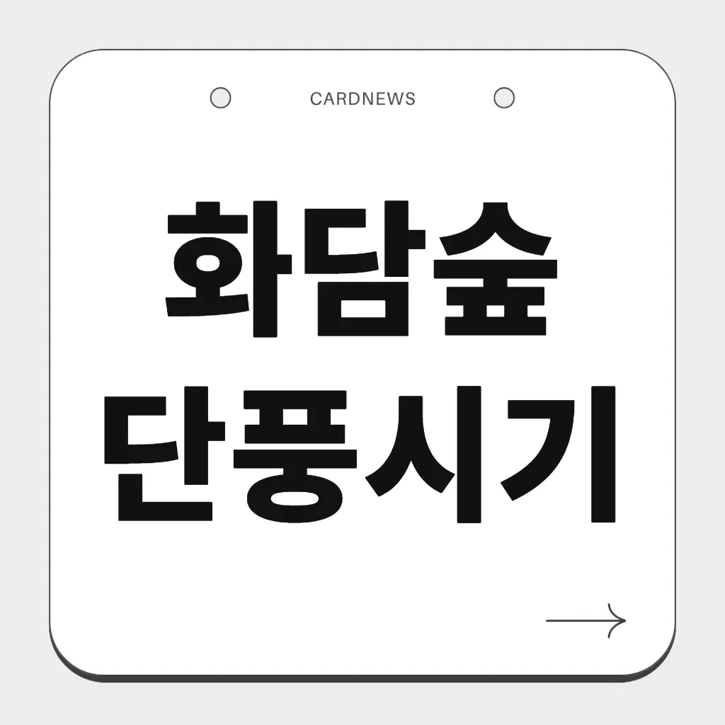 화담숲 단풍시기